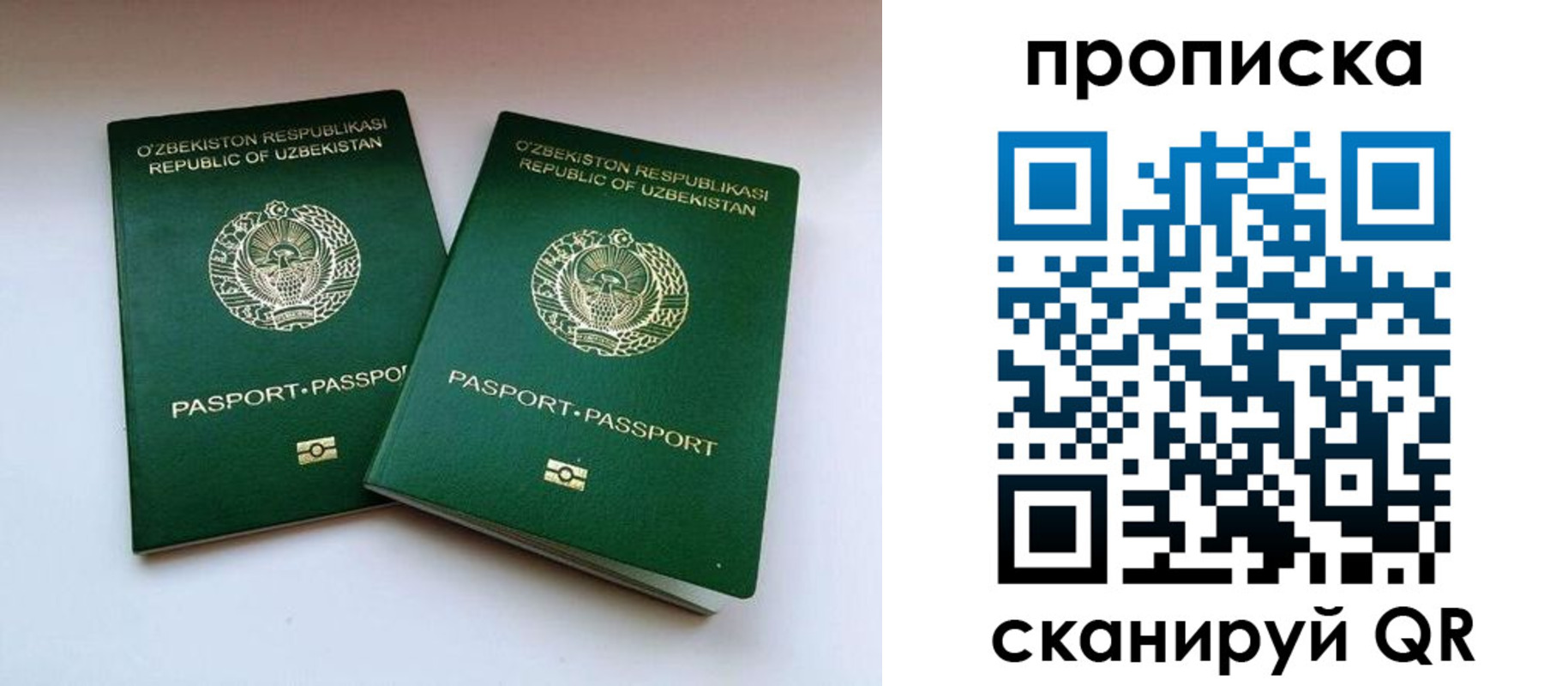 прописка поиск в Бабаево